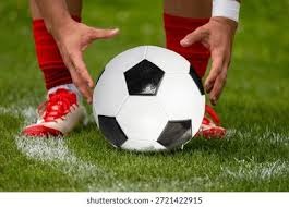 波兰对阵荷兰世预赛中，有球迷向场内投掷烟火迫使比赛被中断